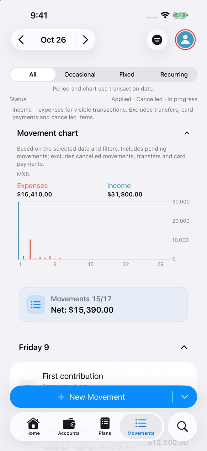 Movements on iPhone: income, expenses and chart